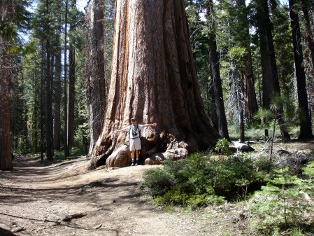 STANDING BY A SEQUOIA, MARIPOSA GROVE, YOSEMITE NP.