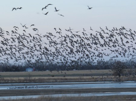 ENORMOUS NUMBERS.  I HAVE SEEN FAR MORE, BUT I NEVER TELL THE CLIENTS THAT.  THIS IS WHAT I CONSIDER "A GOOD NIGHT".