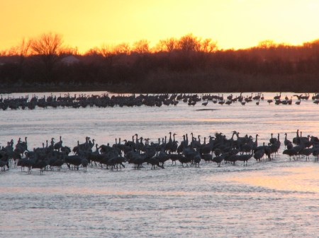 Platte sunset.  So many nights I never thought I would see a good sunset.  So many nights I was wrong.