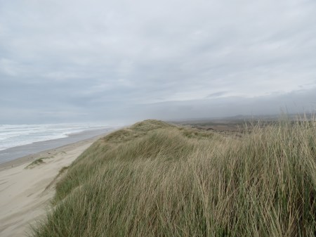 View at top of dunes, 50 ft (15 m) above ocean.