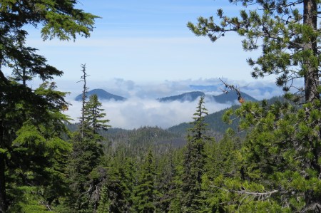 Fog below in the McKenzie Valley.
