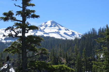 First view of South Sister from lava field.