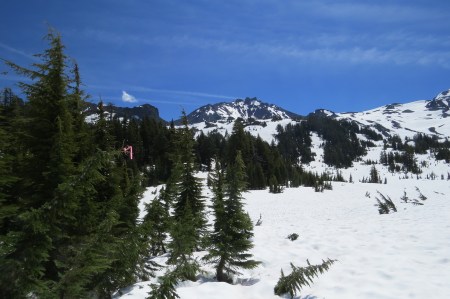 Orange ribbons to navigate by.