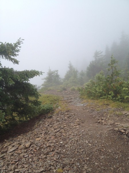 Trail in fog.