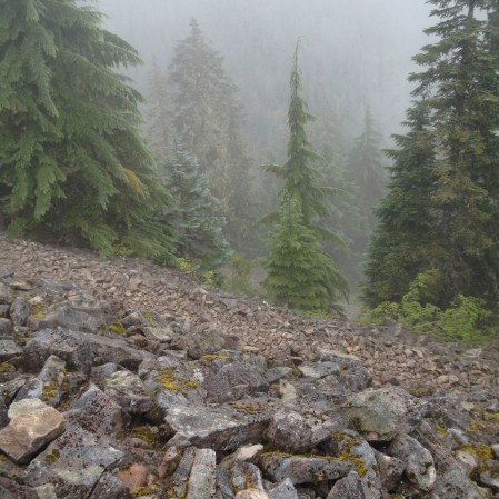 Rockpile in fog 