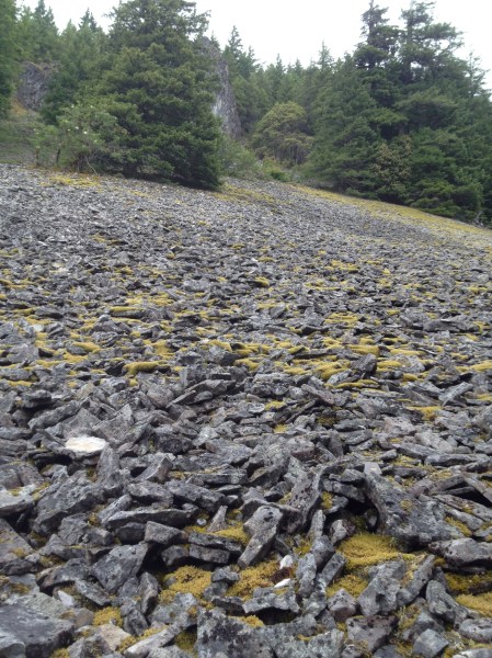 One of many rockfalls 