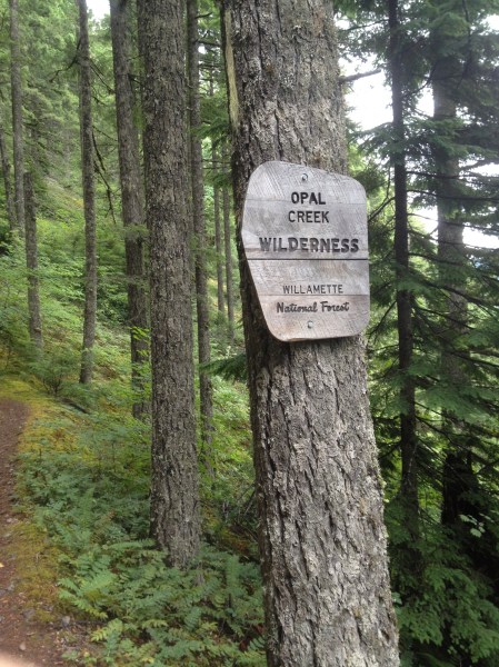 Simple sign for a special place