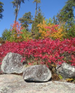 Kitchen area above this color on another campsite.