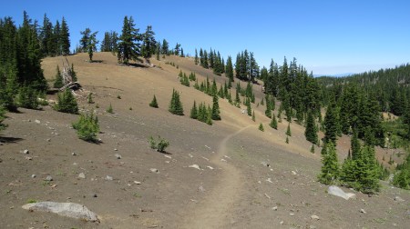 Pacific Crest Trail north of Opie Dilldock pass, looking north.