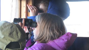 One small reason why I lead tours to the viewing blinds. Rowe Sanctuary, 2013.