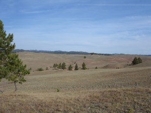 Wind Cave, NP, South Dakota, 2007.