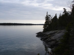 The Big Lake, Superior, from Isle Royale. May 2006: 9 Moose, 1 wolf, 1 fox.